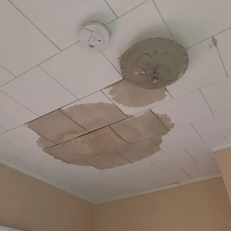 Ceiling Water Damage Repair in Minonk, IL