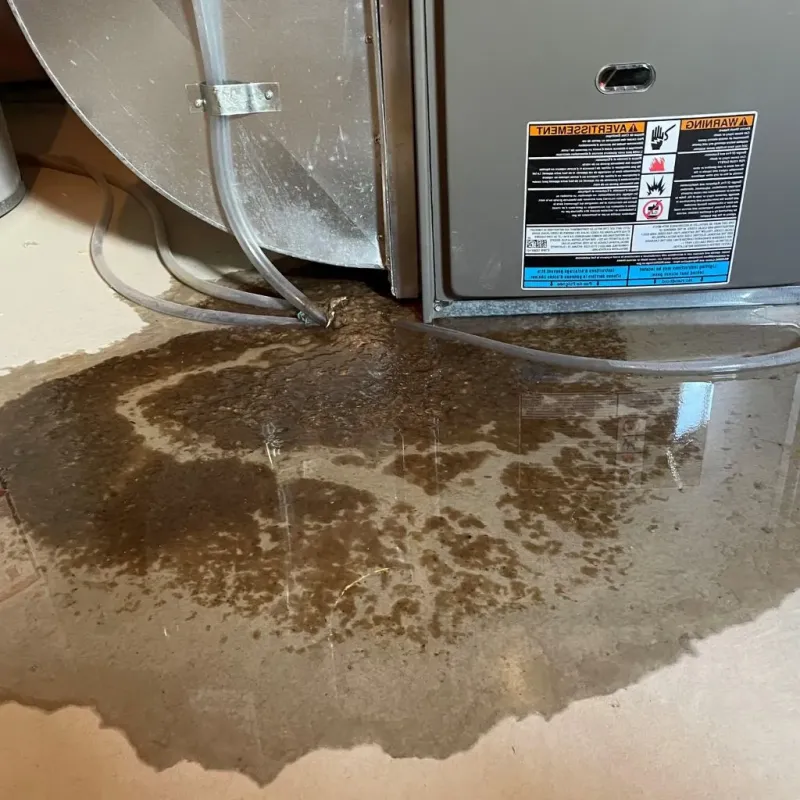 Pipe Burst and Leak Restoration in Minonk, IL