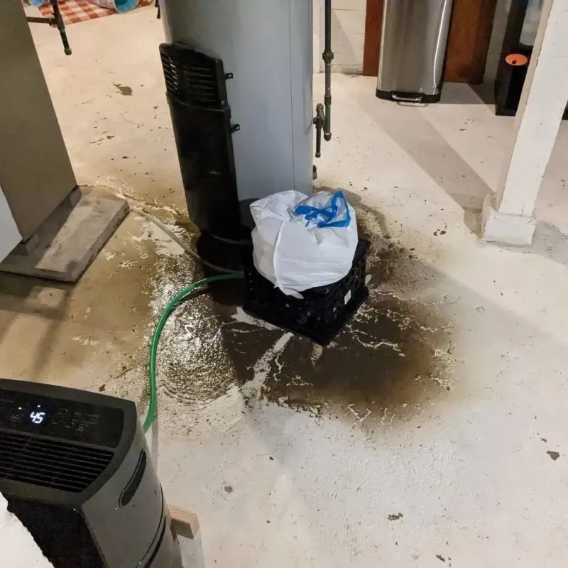Sewage Backup Cleanup Service in Minonk, IL